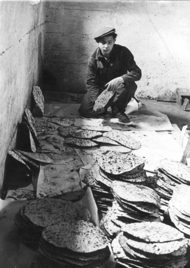 Matzah baking at the New Palestine DP camp Parsch Austria postwar Likud Brasil